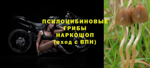 Альфа ПВП Беломорск